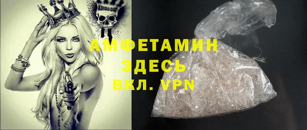 крисы Осинники