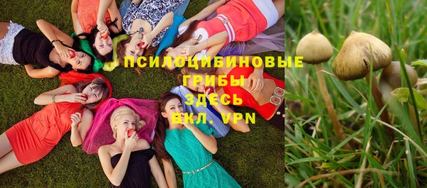 прущие крисы Нягань