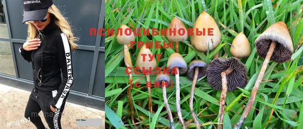 PSILOCYBIN Елизово