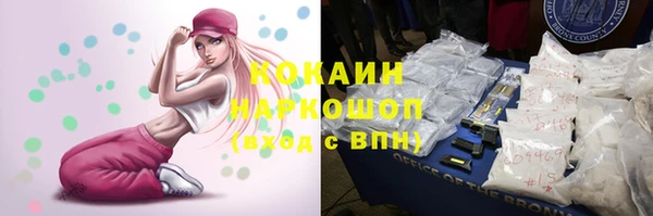 крисы Осинники