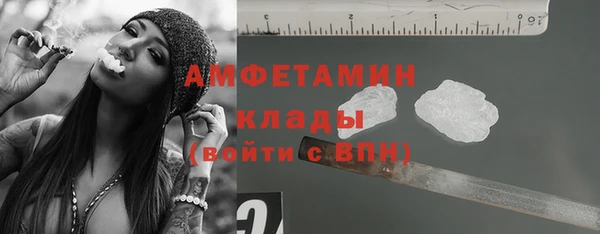 крисы Осинники