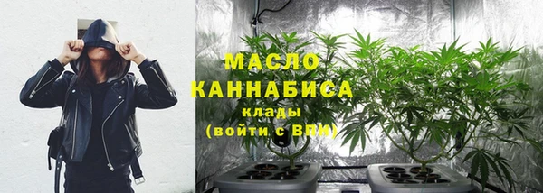 крисы Осинники