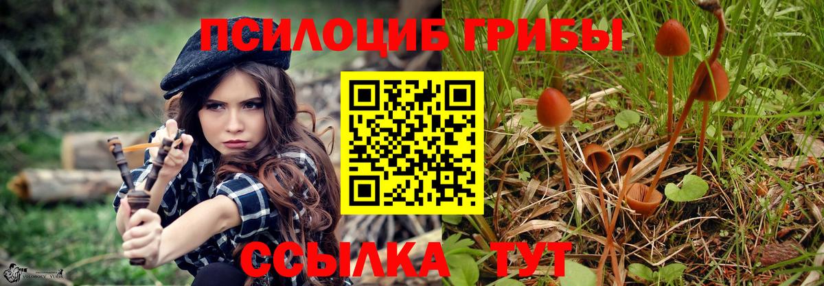 Кировск  Галлюциногенные грибы Psilocybine cubensis  продажа наркотиков  Вход с VPN  Псилоцибиновые грибы Psilocybine cubensis 