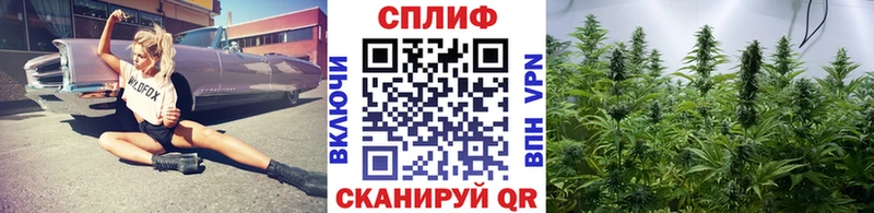 Марихуана ГИДРОПОН  купить наркотики цена  Кировск 